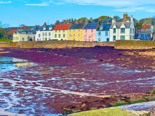 The Coastal Inn Outbuilding Cellardyke Exteriör bild